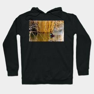 Ruddy Duck in Spring. Hoodie